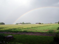 Abbildung Waldviertel Regenbogen