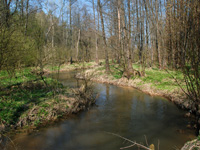 Waldbach Thayatal Abbildung Waldbach Thayatal