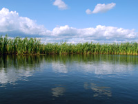 Abbildung Waldviertel Teich